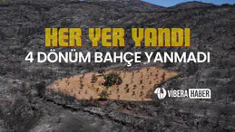 İzmir'deki Orman Yangınından Korunan Bahçe: Ahmet Türk'ün Başarılı Mücadelesi