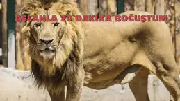 20 Dakikalık Gerilim Dolu Karşılaşma: Firari Aslan ile Boğuştu!