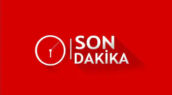 Antalya'da Dehşet Anları: Aslan Parkından Kaçtı, Can Yaktı