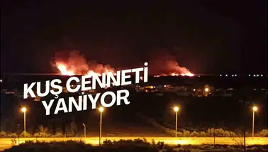 Uluslararası Koruma Altındaki Kuş Cenneti'nde Yangın
