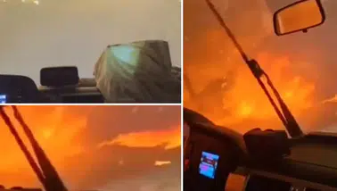 Buca'daki orman yangınında dehşete düşüren an! "Burası cehennem oldu, hakkınızı helal edin"