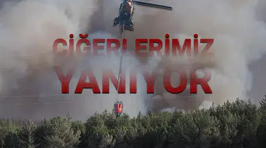 İzmir'deki orman yangınlarında 2 can kaybı, kontrol altındaki alevler ve mücadele sürüyor.