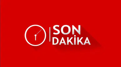 Antalya'da Dehşet Anları: Aslan Parkından Kaçtı, Can Yaktı