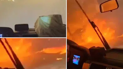 Buca'daki orman yangınında dehşete düşüren an! "Burası cehennem oldu, hakkınızı helal edin"