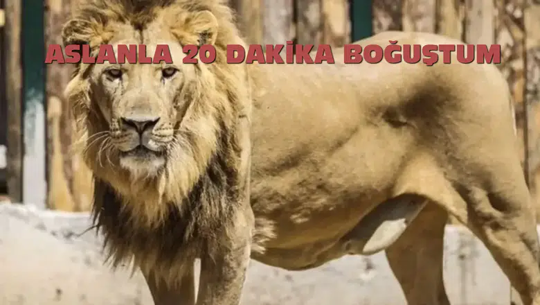 20 Dakikalık Gerilim Dolu Karşılaşma: Firari Aslan ile Boğuştu!