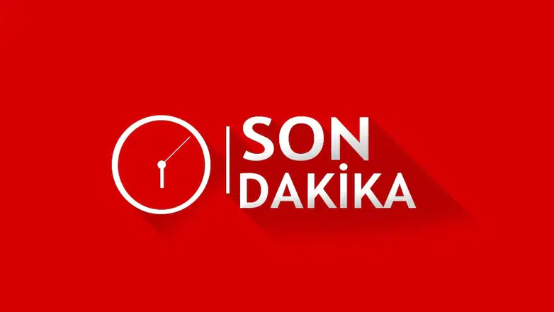 Antalya'da Dehşet Anları: Aslan Parkından Kaçtı, Can Yaktı