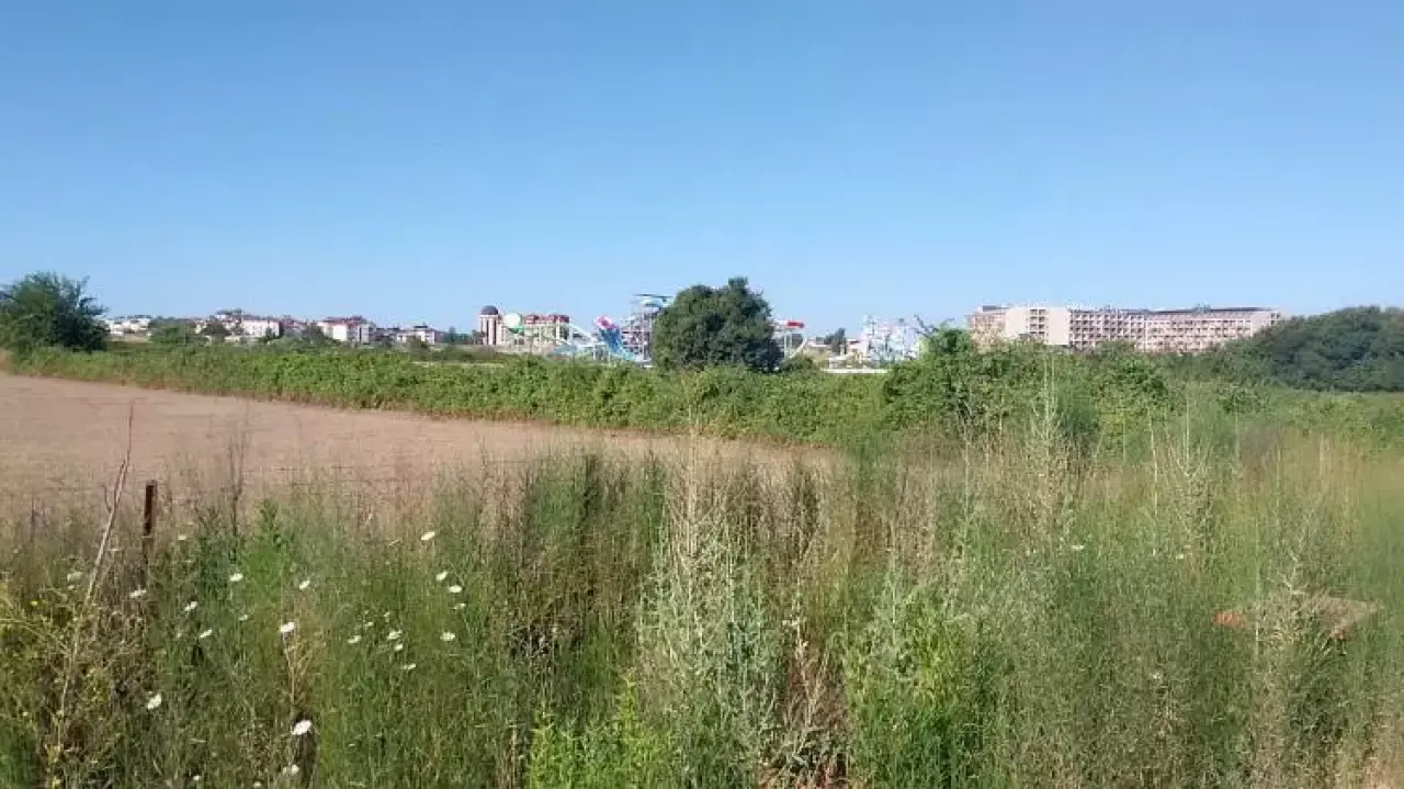 Antalya'da Dehşet Anları: Aslan Parkından Kaçtı, Can Yaktı 6